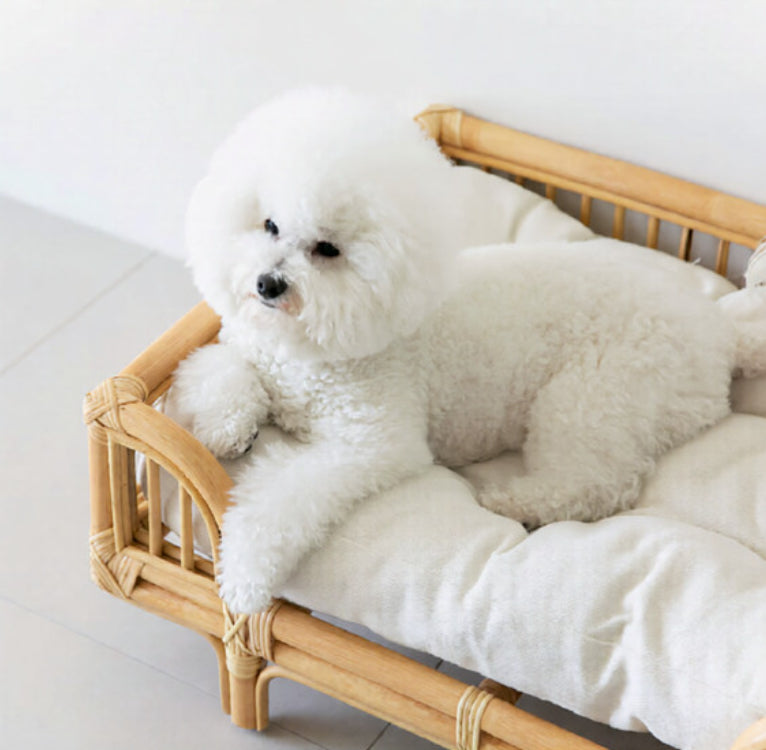 Natural Rattan Square Dog Bed Minimalist Handmade Pet Bed
