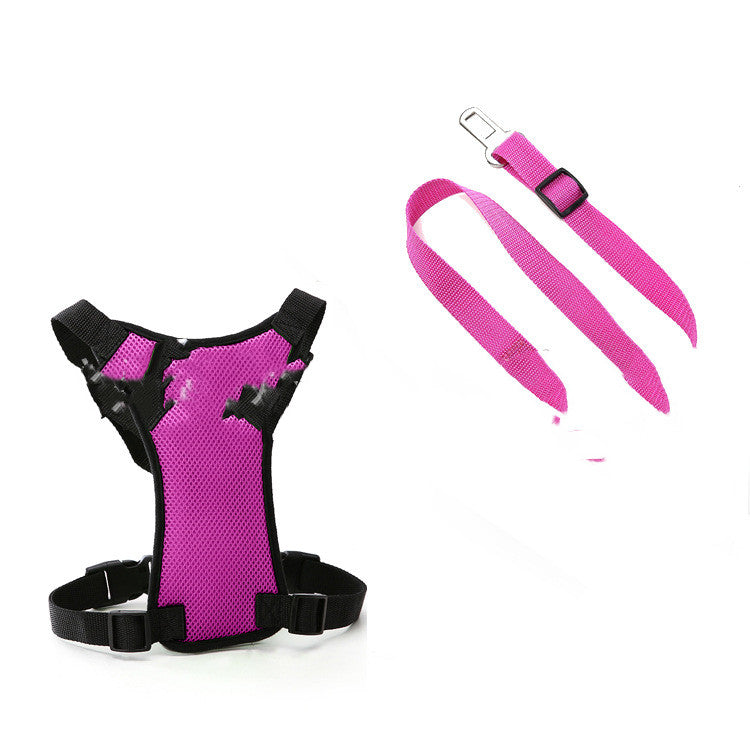 Mesh Chest Back With PP Seat Belts Can Be Customized