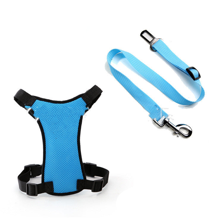 Mesh Chest Back With PP Seat Belts Can Be Customized