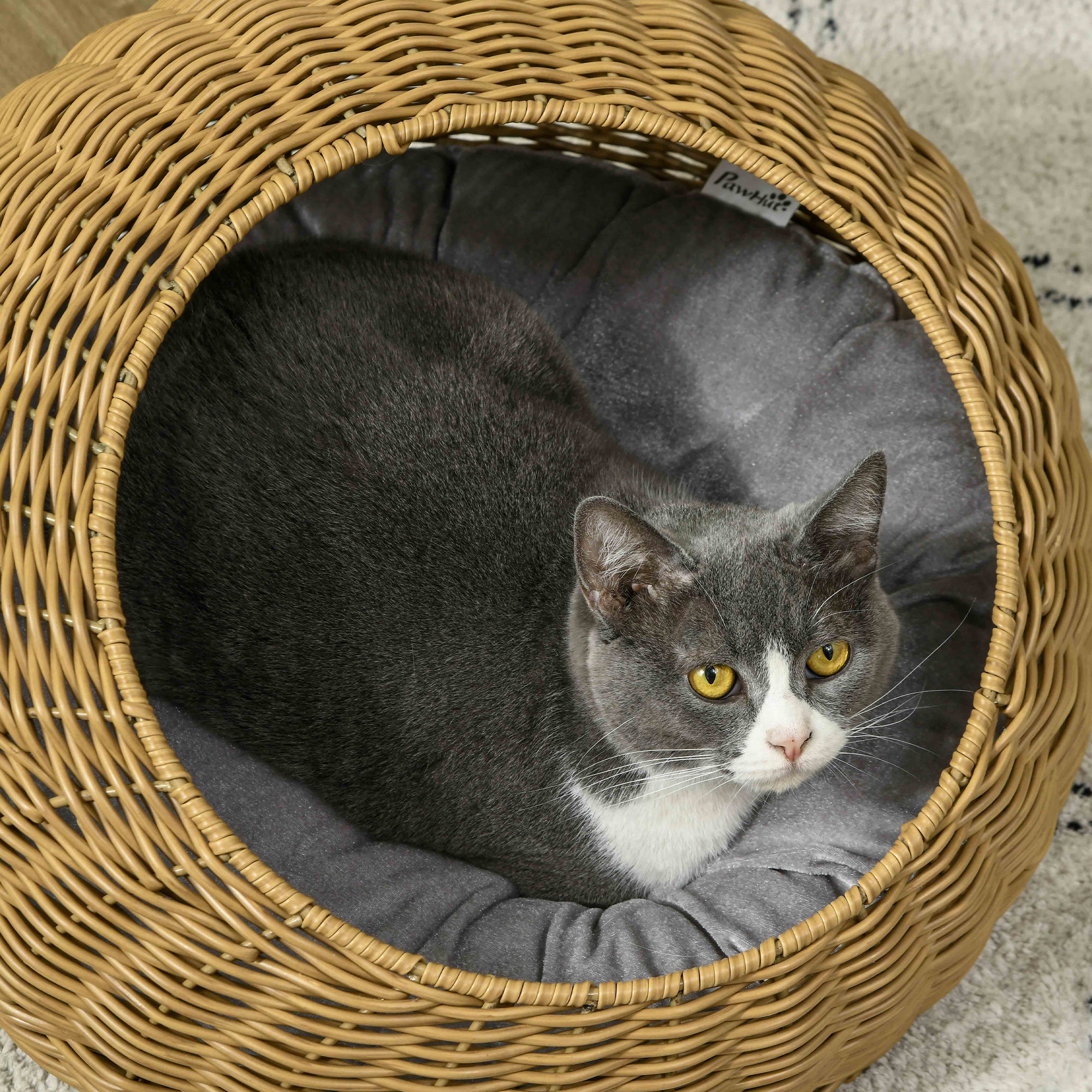 Rattan Cat Bed with Washable Cushion for Cats, Puppies, Light Brown
