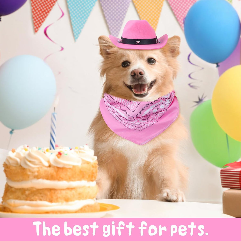 Cat Cowboy Costume Cat Cowboy Hat And Bandana Set Cat Halloween Costumes Cowboy Cat Pet Costume Funny Halloween Costumes For Cats Kittens Pets