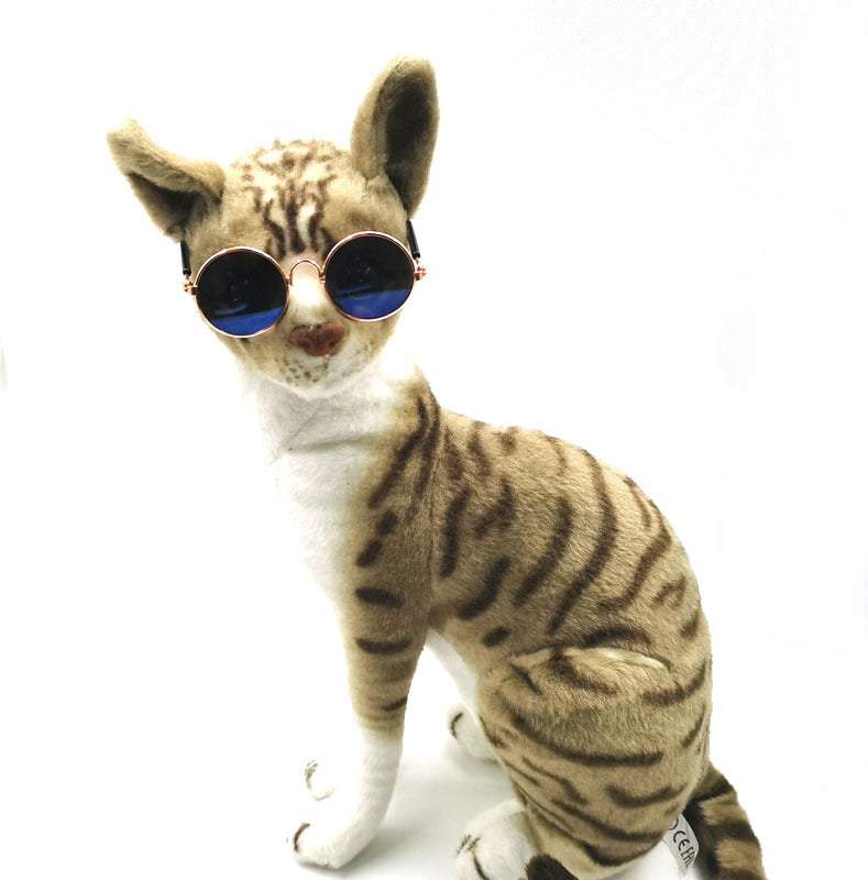 Pet Glasses Cool Eccentric Personality