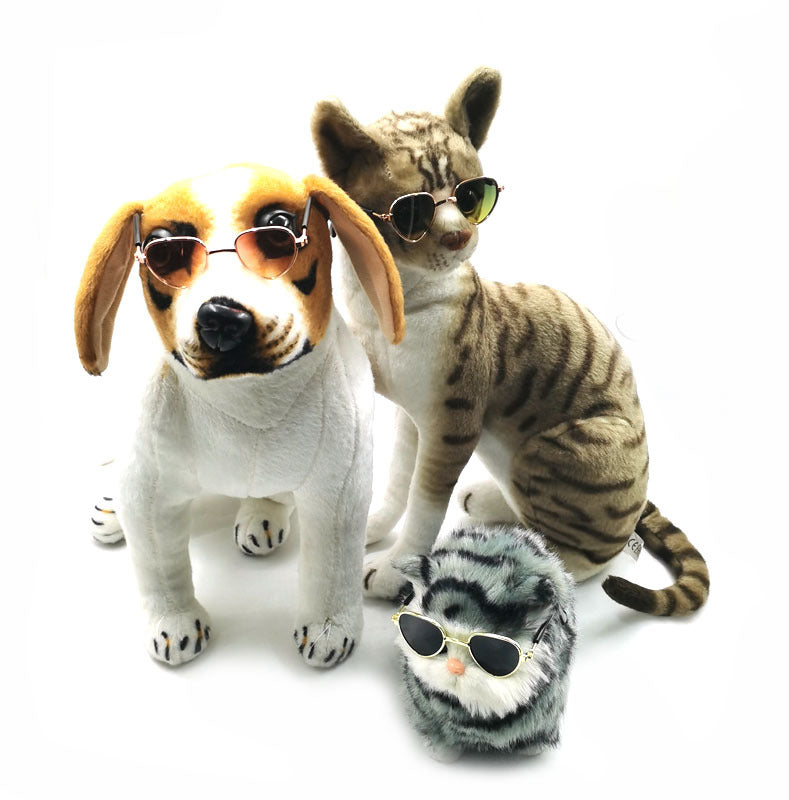 Pet Glasses Cool Eccentric Personality